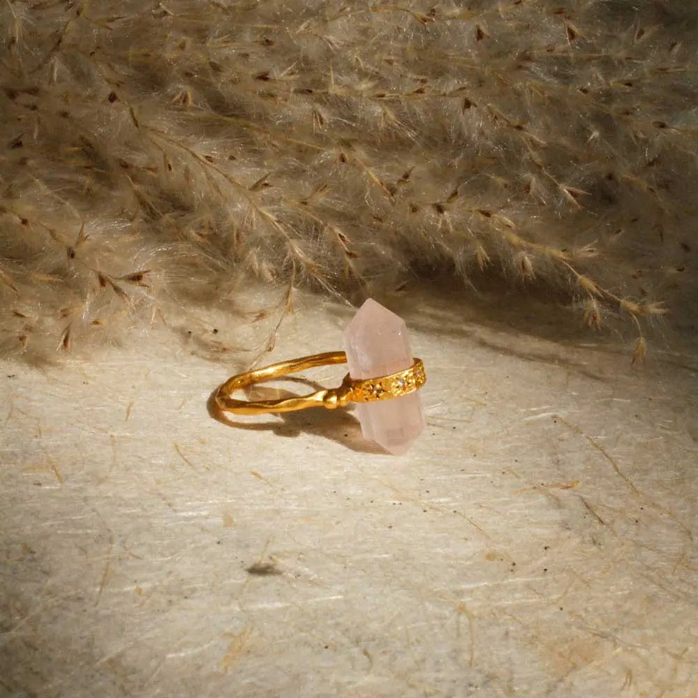 Shoot for The Moon • Ring Ananda Soul